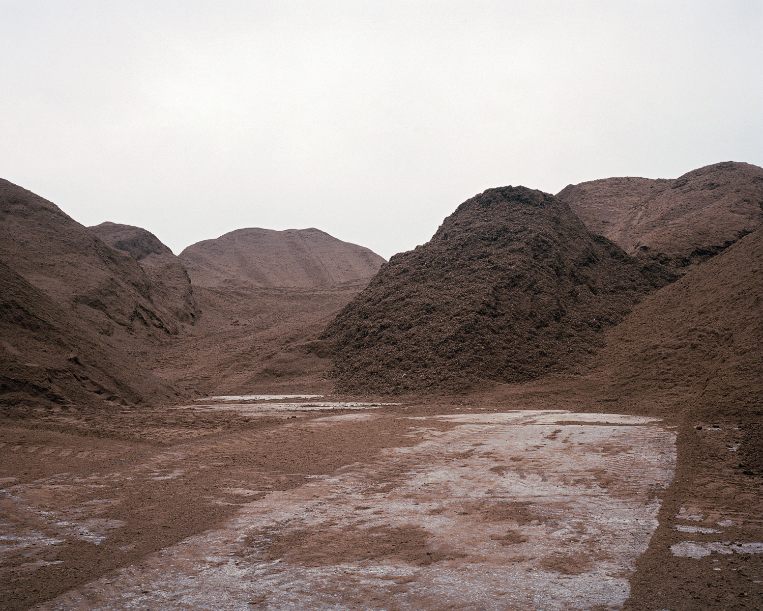 Peat Mounds by Shane Hynan