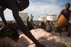 Curse of the Black Gold: Oil in the Niger Delta