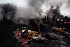 Curse of the Black Gold: Oil in the Niger Delta by Ed Kashi