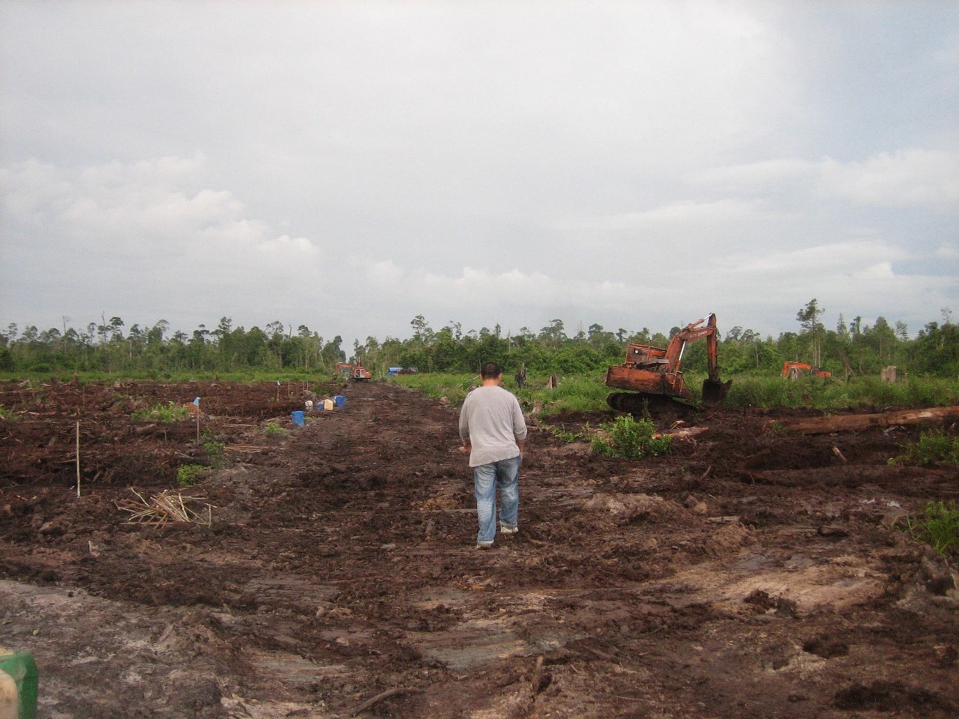 peat soil in malaysia