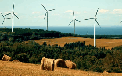 Lecturer in Renewable Energy and Life Cycle Sustainability at UCL
