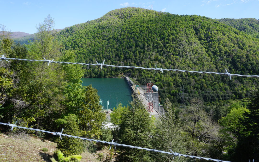 Hydropower and nuclear energy: more similar than one might think?