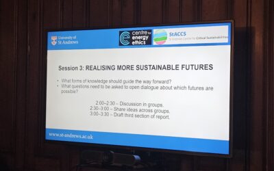 CEE and StACCS Hold Alternative Sustainabilities Workshop